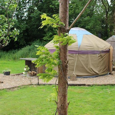 The Yurt At Worcesters Farm Canterbury Bagian luar foto