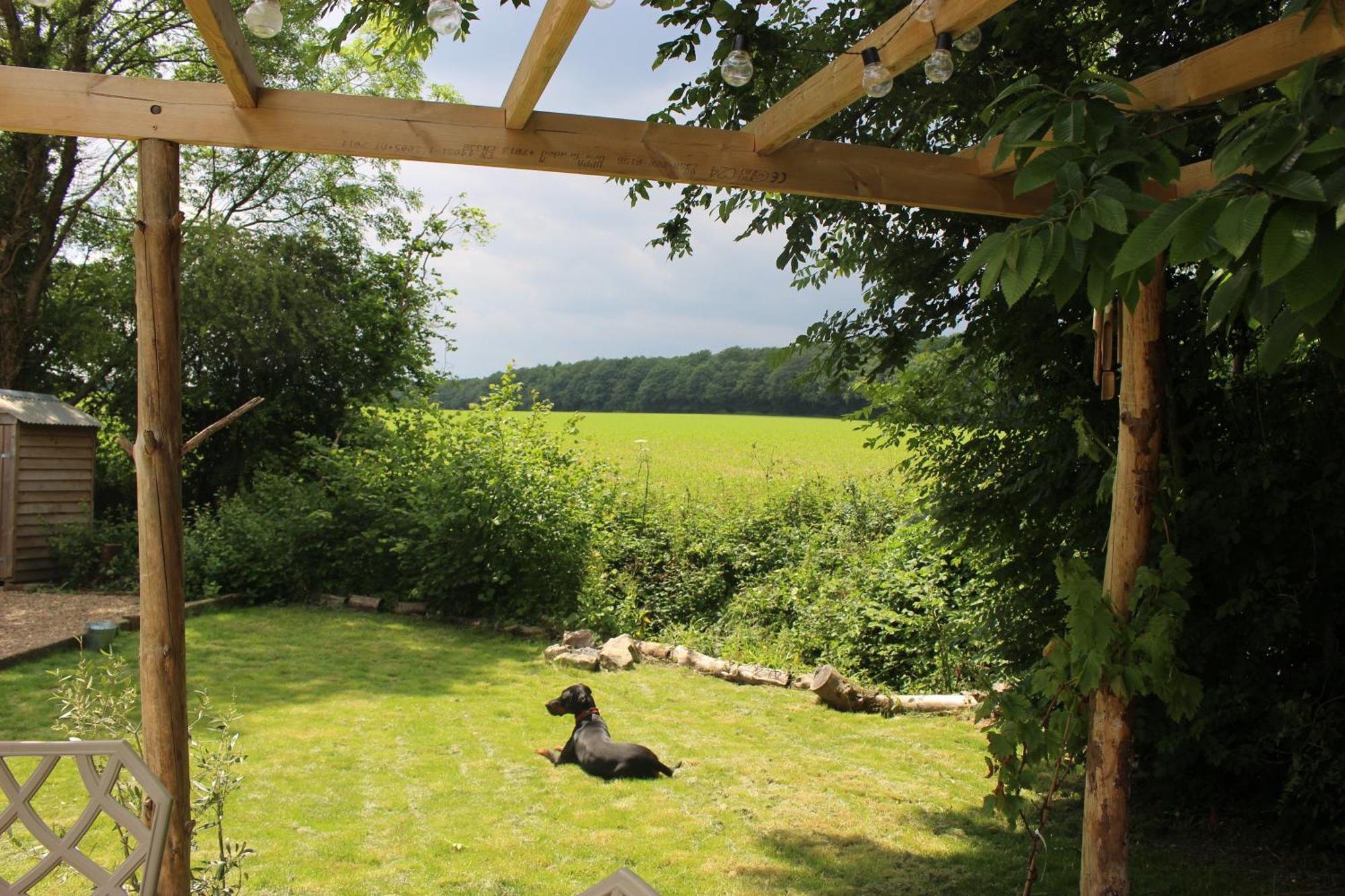 The Yurt At Worcesters Farm Canterbury Bagian luar foto